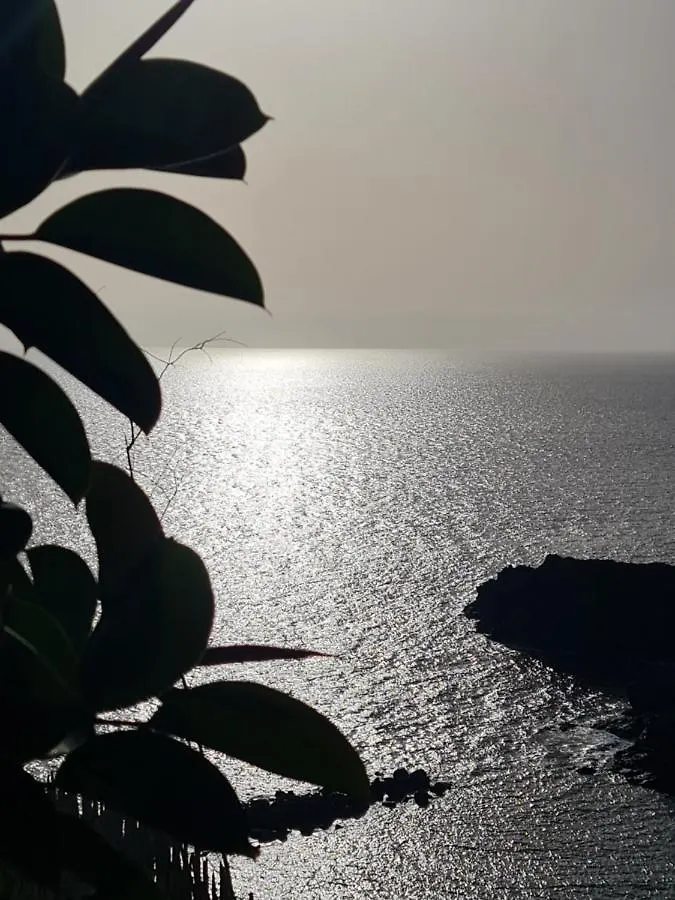Apartment Orlando Tenerife Sur Mikey And Daisy Costa Adeje  Spagna